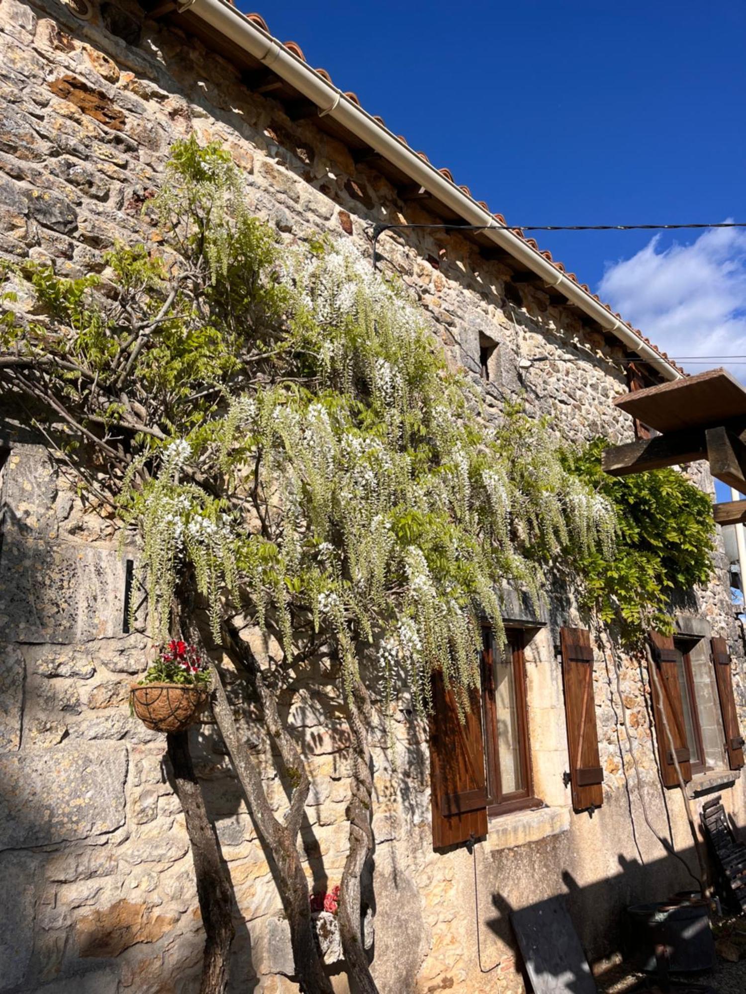 Le Plantier 1 Apartment Beaulieu-sur-Sonnette Exterior foto